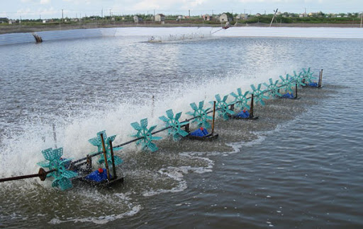 Xử lý nước thải nuôi trồng thủy sản